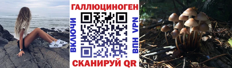 Псилоцибиновые грибы ЛСД  Кизел 